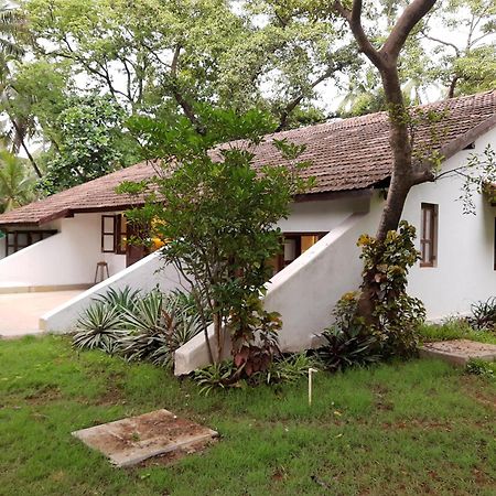 Banyan House - Luxurious 4 Bedroom Villa On One Acre, Near The Beach ナガオン エクステリア 写真