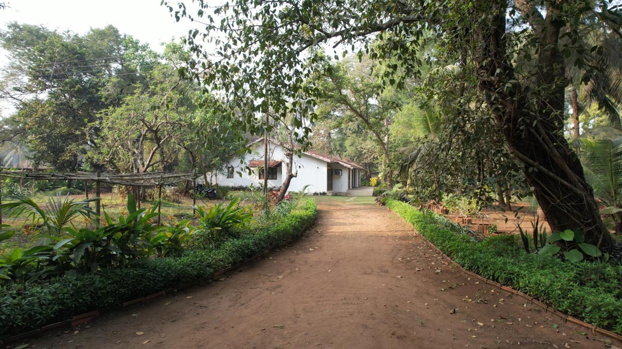Banyan House - Luxurious 4 Bedroom Villa On One Acre, Near The Beach ナガオン エクステリア 写真