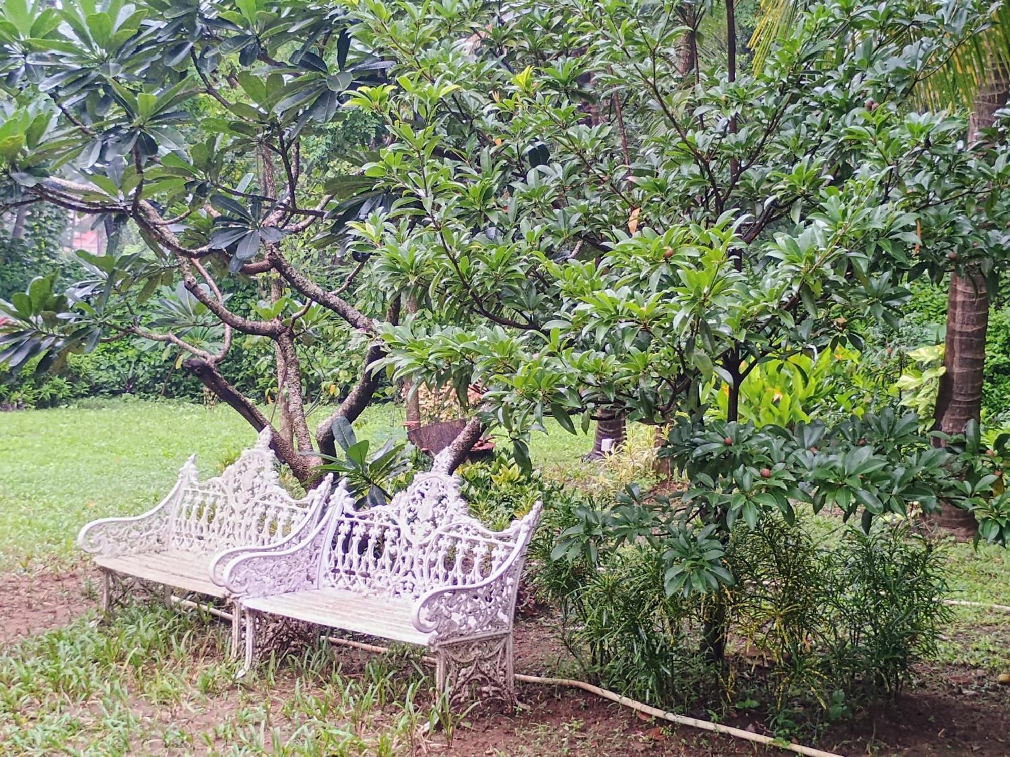 Banyan House - Luxurious 4 Bedroom Villa On One Acre, Near The Beach ナガオン エクステリア 写真